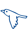鳥