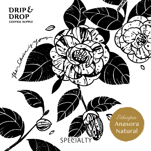 DRIP & DROP DRIP COFFEE SUPPLY SPECIALITY